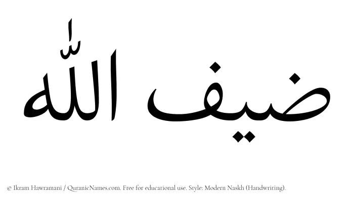 The Muslim name Zaifullah written in naskh script
