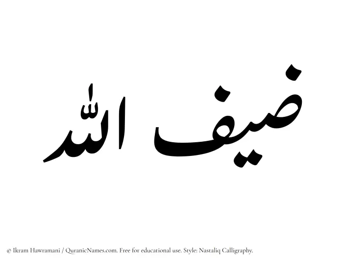 The Muslim name word Zaifullah written in Nastaliq calligraphic script