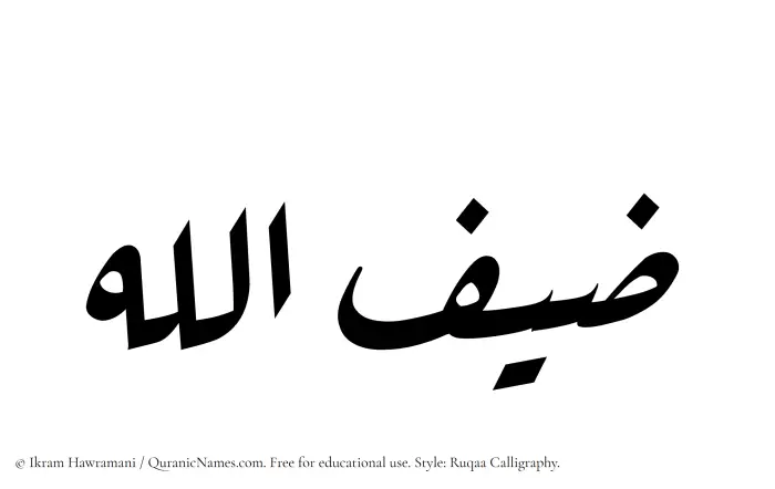 The Muslim name Zaifullah written in Ruqaa calligraphic script