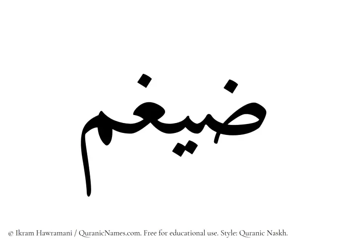 The Muslim name Zaigham written in Quranic naskh script