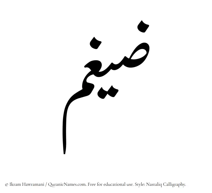 The Muslim name word Zaigham written in Nastaliq calligraphic script
