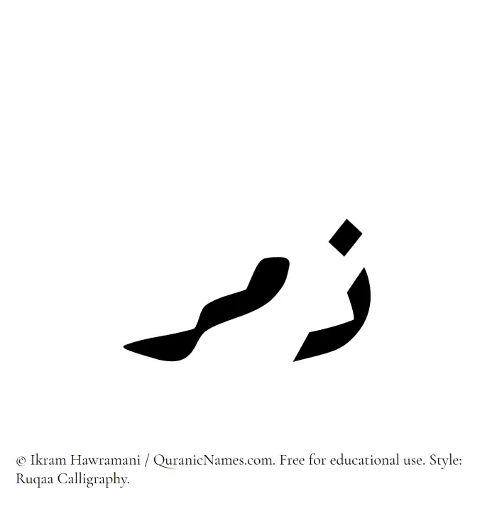 The Muslim name Zamr written in Ruqaa calligraphic script