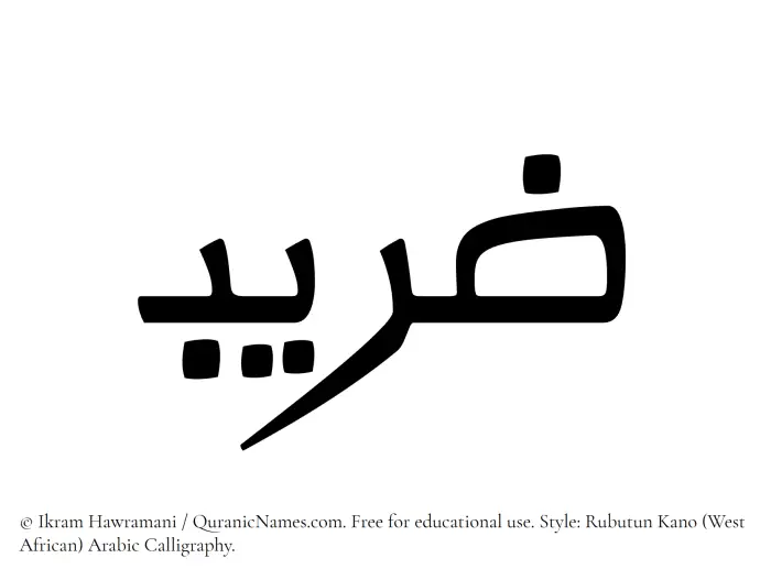 The Muslim name Zareeb written in Rubutun Kano calligraphic script