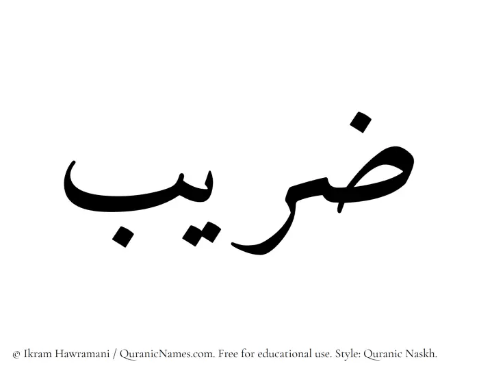The Muslim name Zareeb written in Quranic naskh script