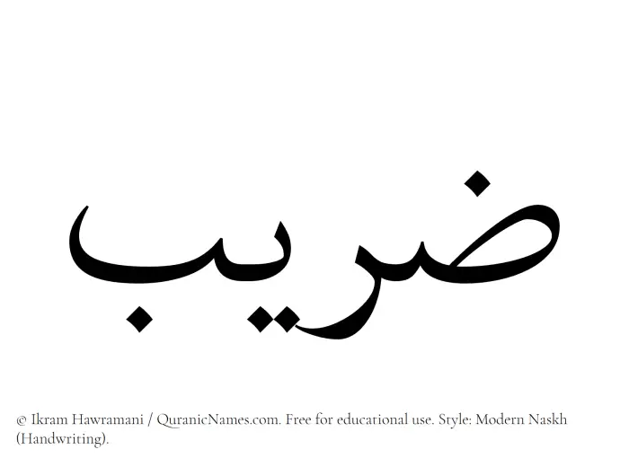 The Muslim name Zareeb written in naskh script