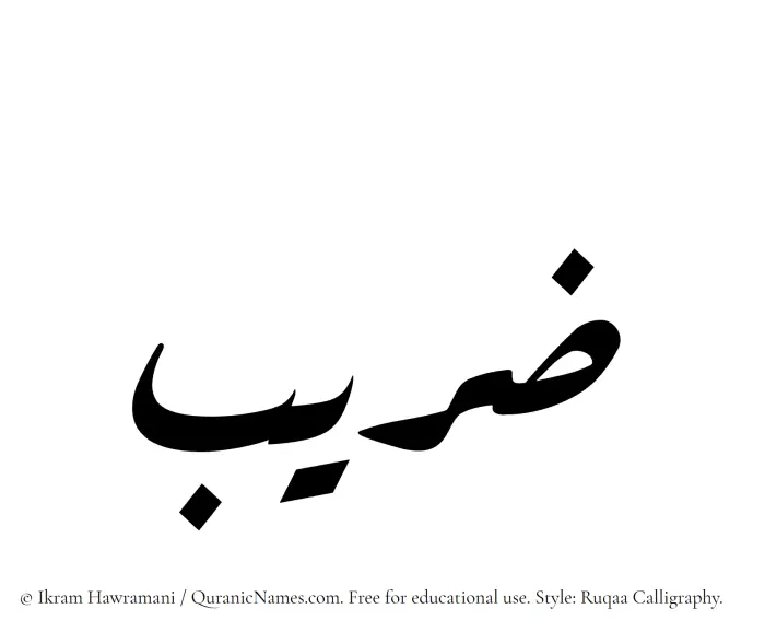The Muslim name Zareeb written in Ruqaa calligraphic script