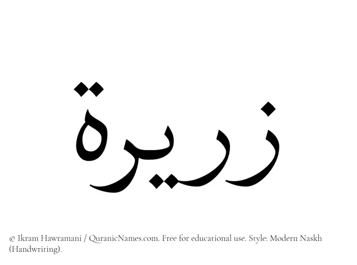 The Muslim name Zareera written in naskh script