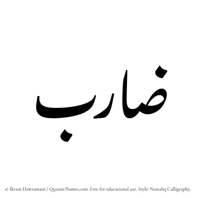 The Muslim name word Zarib written in Nastaliq calligraphic script