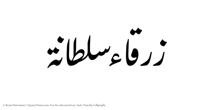 The Muslim name word Zarqa Sultana written in Nastaliq calligraphic script