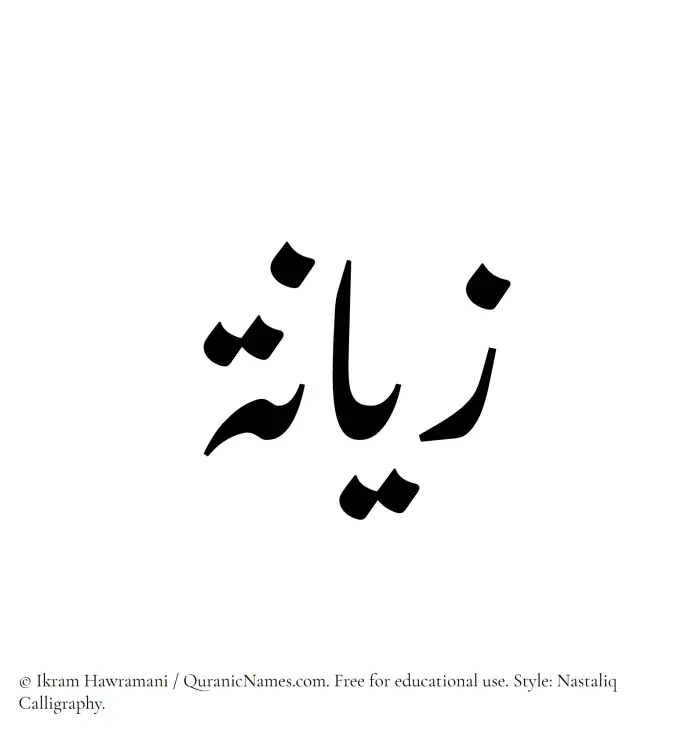 The Muslim name word Zayana written in Nastaliq calligraphic script