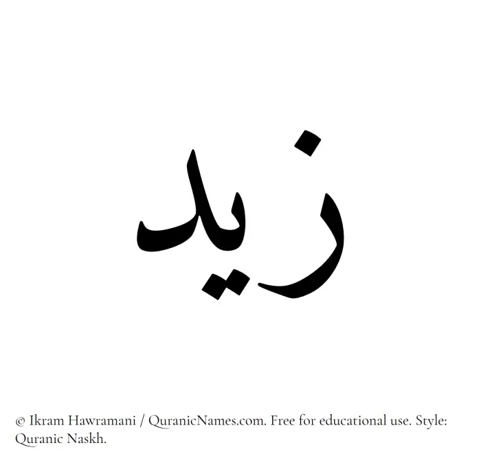 The Muslim name Zayd (Zaid/Zeid) written in Quranic naskh script