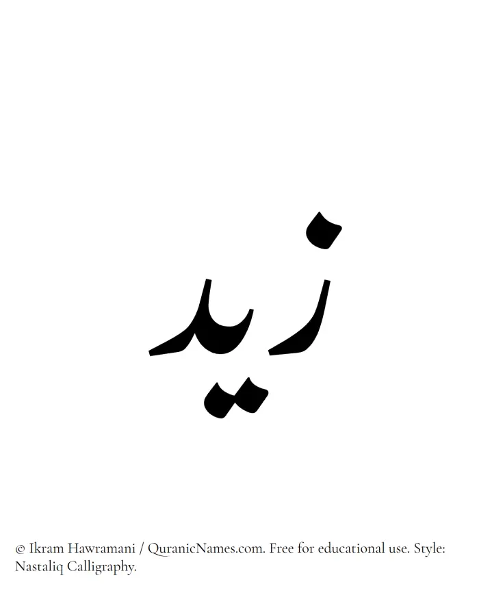 The Muslim name word Zayd (Zaid/Zeid) written in Nastaliq calligraphic script