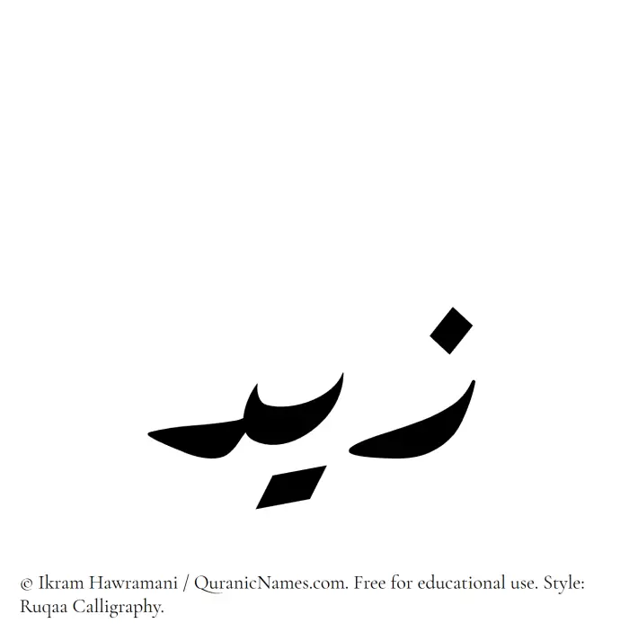 The Muslim name Zayd (Zaid/Zeid) written in Ruqaa calligraphic script