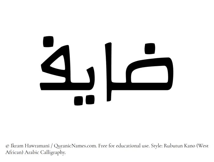 The Muslim name Zayef written in Rubutun Kano calligraphic script