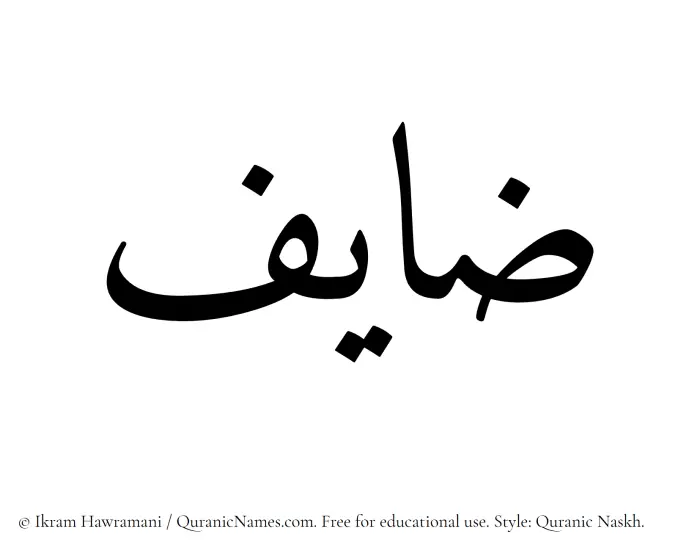 The Muslim name Zayef written in Quranic naskh script