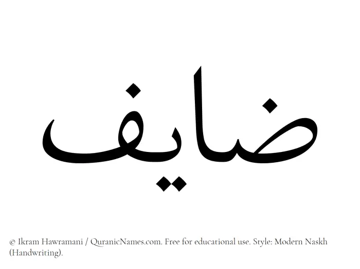 The Muslim name Zayef written in naskh script
