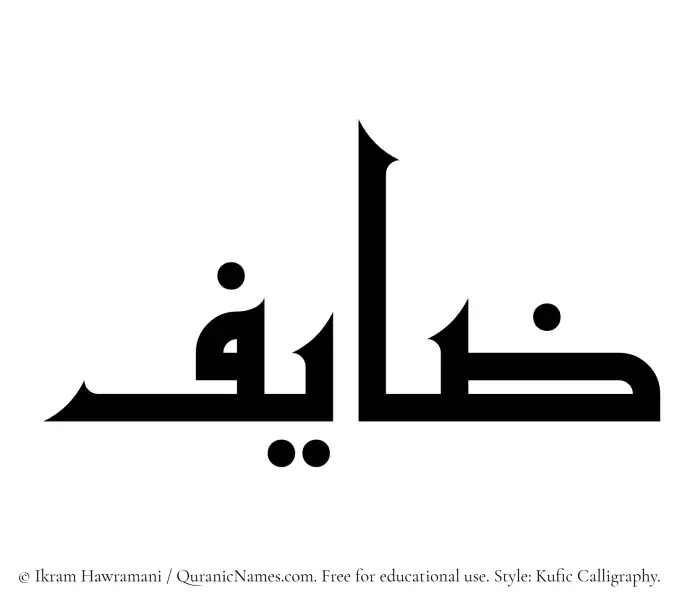 The Muslim name Zayef written in Kufi/Kufic calligraphic script