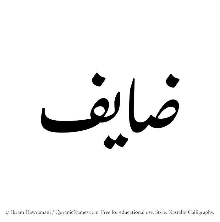 The Muslim name word Zayef written in Nastaliq calligraphic script
