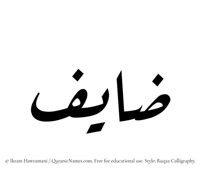 The Muslim name Zayef written in Ruqaa calligraphic script