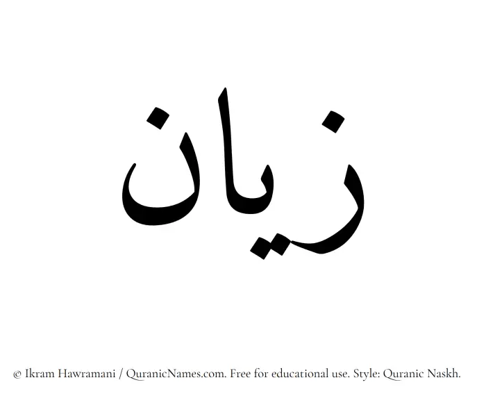The Muslim name Zayyan written in Quranic naskh script