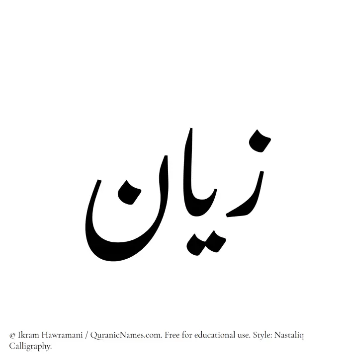 The Muslim name word Zayyan written in Nastaliq calligraphic script