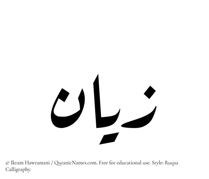 The Muslim name Zayyan written in Ruqaa calligraphic script