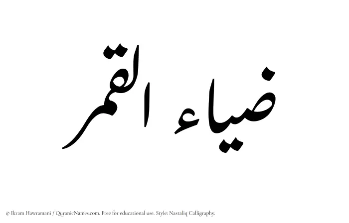 The Muslim name word Zia ul Qamar written in Nastaliq calligraphic script