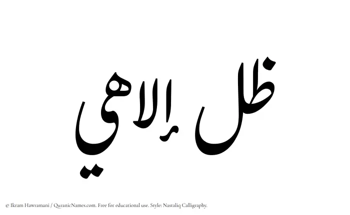 The Muslim name word Zil Elahi written in Nastaliq calligraphic script