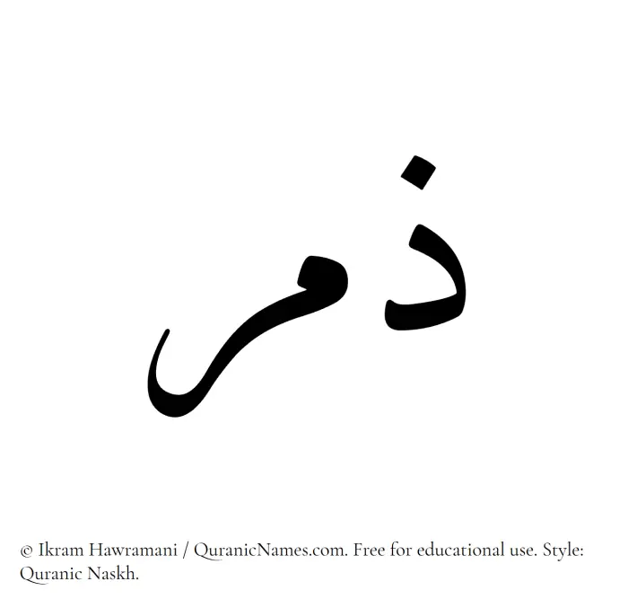 The Muslim name Zimr written in Quranic naskh script