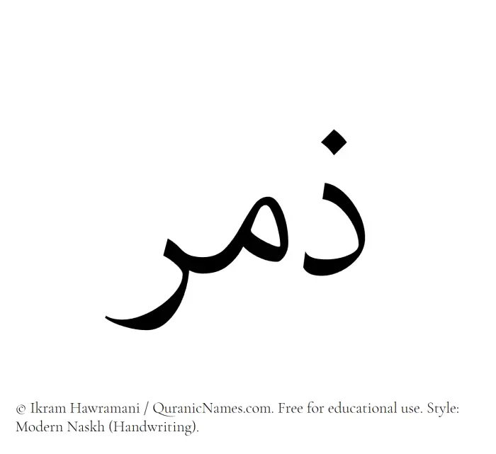 The Muslim name Zimr written in naskh script