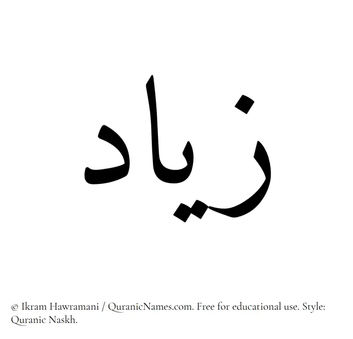 The Muslim name Ziyad written in Quranic naskh script