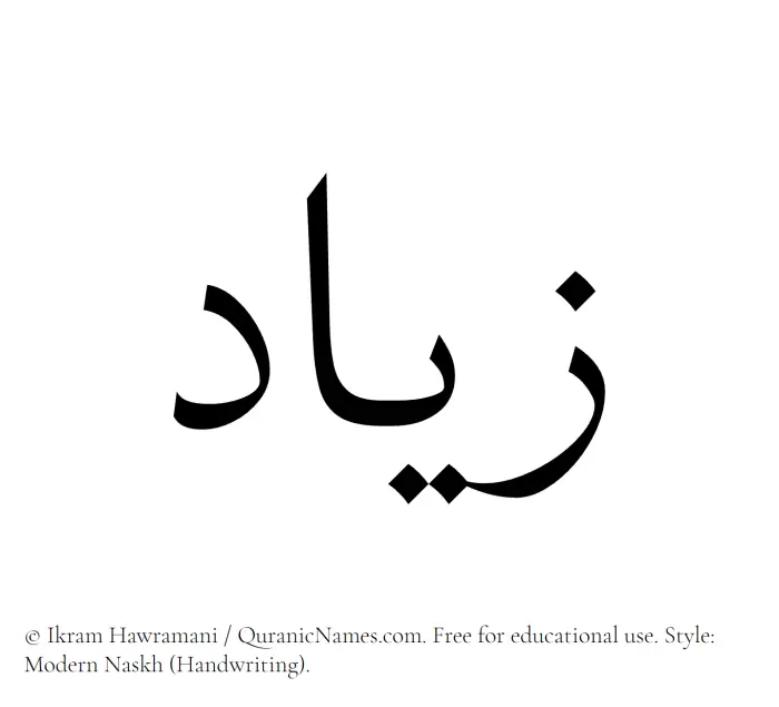 The Muslim name Ziyad written in naskh script