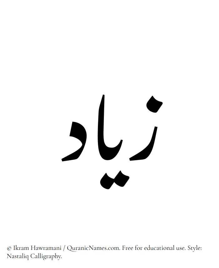 The Muslim name word Ziyad written in Nastaliq calligraphic script