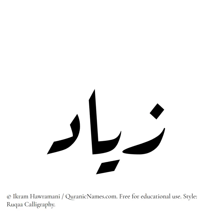 The Muslim name Ziyad written in Ruqaa calligraphic script