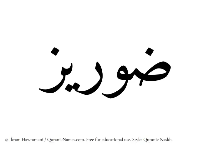 The Muslim name Zoraiz written in Quranic naskh script