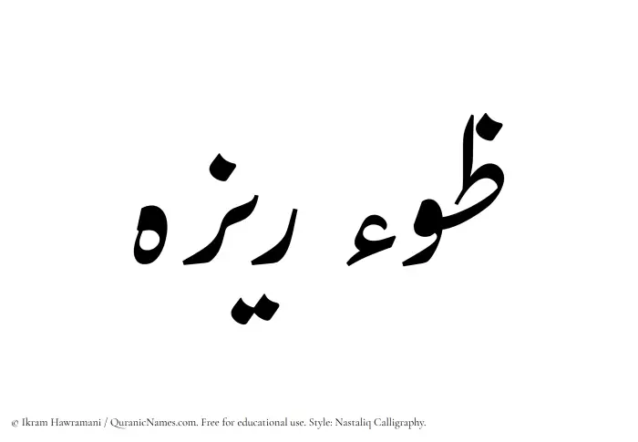 The Muslim name word Zoreza written in Nastaliq calligraphic script