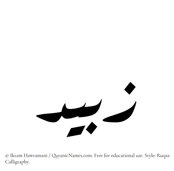 The Muslim name Zubaid written in Ruqaa calligraphic script
