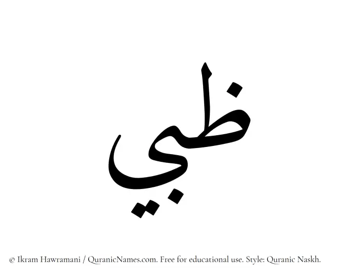 The Muslim name Zubi written in Quranic naskh script