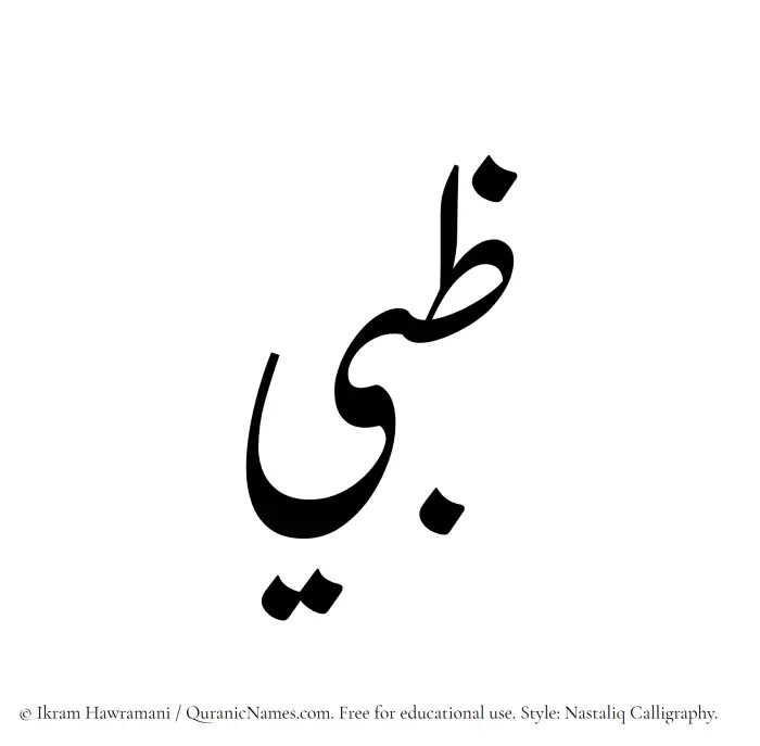 The Muslim name word Zubi written in Nastaliq calligraphic script