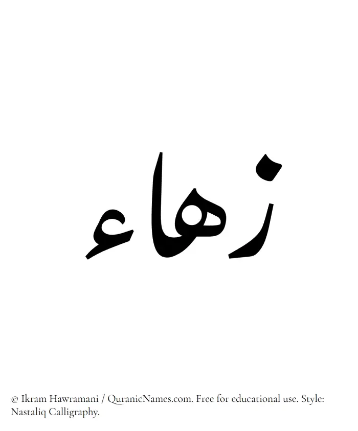 The Muslim name word Zuhaa written in Nastaliq calligraphic script