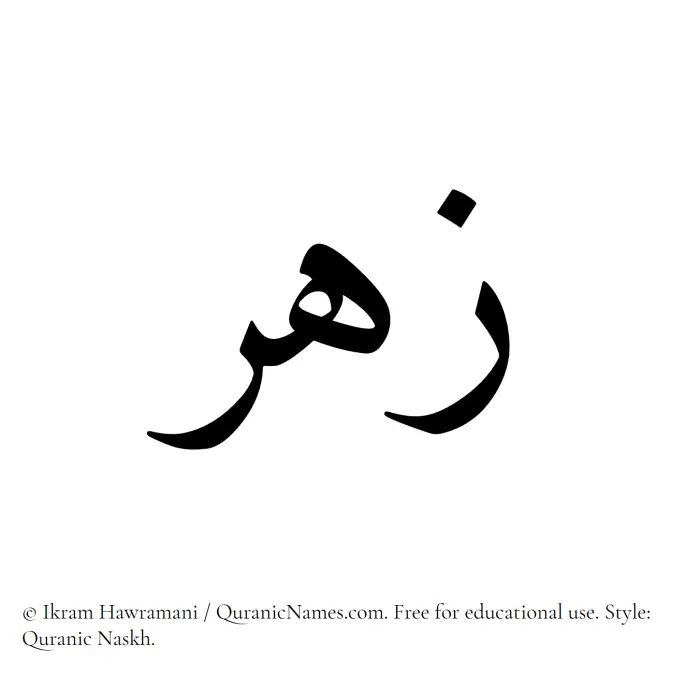 The Muslim name Zuhr written in Quranic naskh script