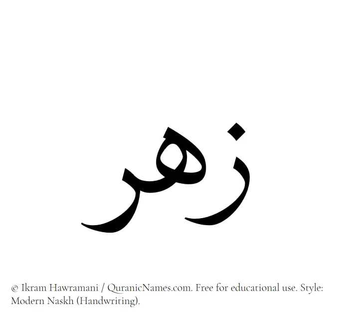 The Muslim name Zuhr written in naskh script