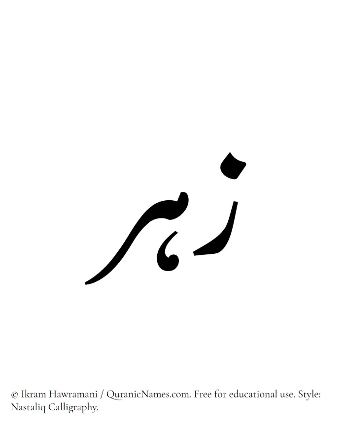 The Muslim name word Zuhr written in Nastaliq calligraphic script