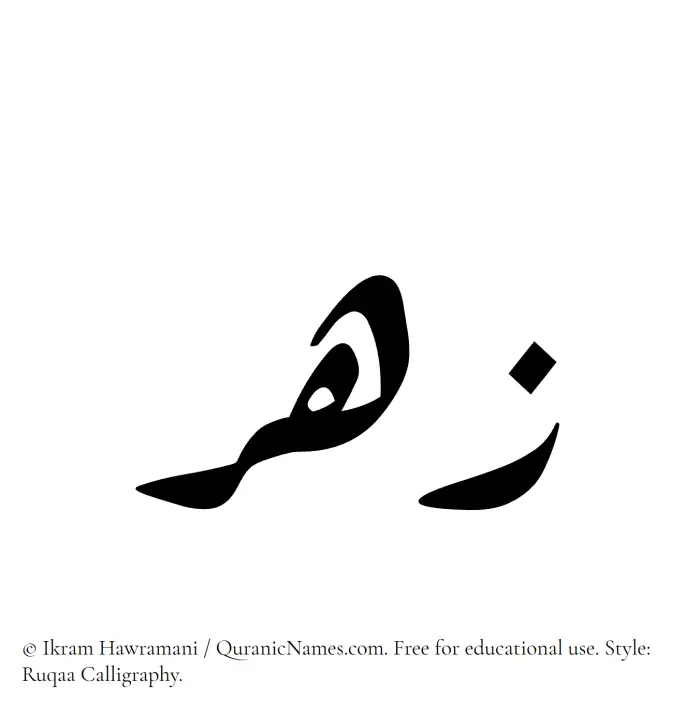 The Muslim name Zuhr written in Ruqaa calligraphic script