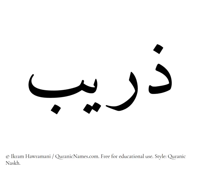 The Muslim name Zuraib written in Quranic naskh script