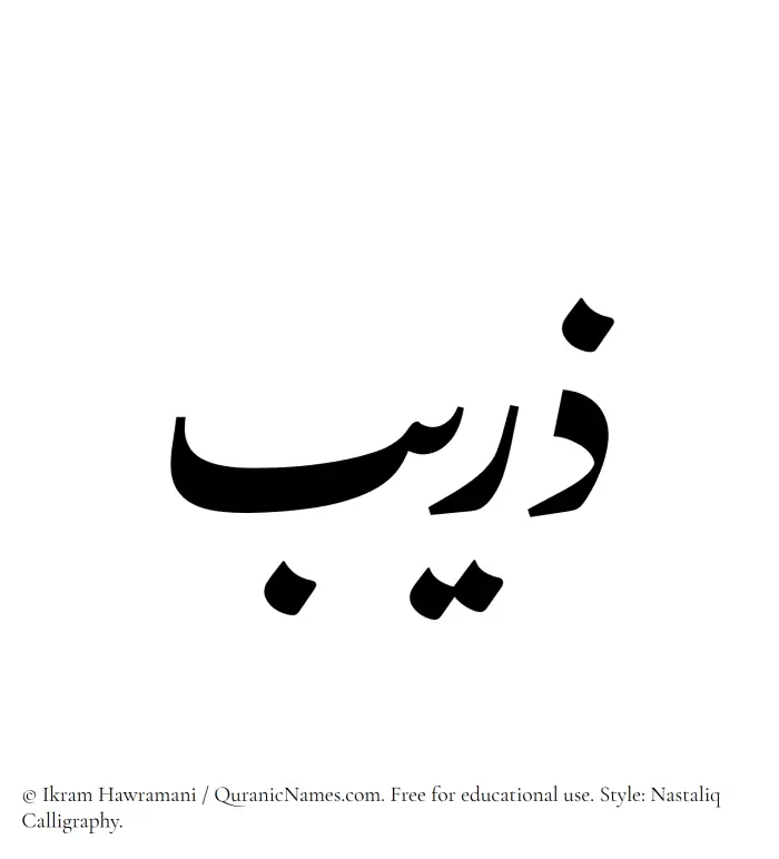 The Muslim name word Zuraib written in Nastaliq calligraphic script