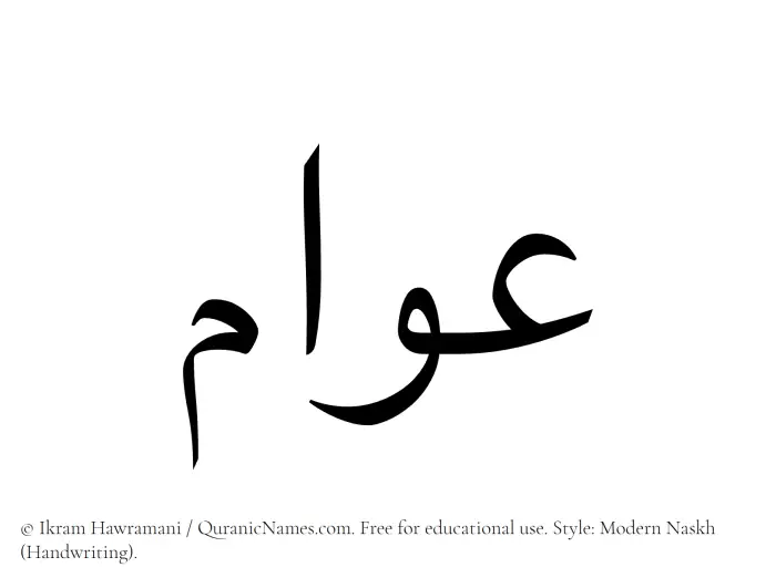 The name Awwam written in naskh