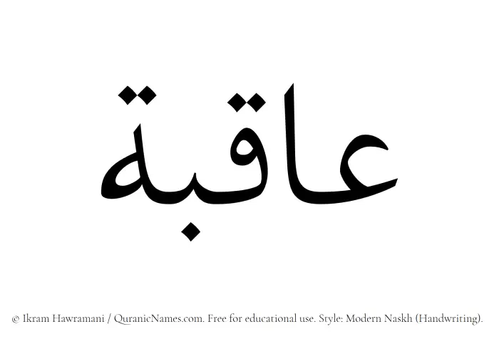 The name Aqiba written in naskh