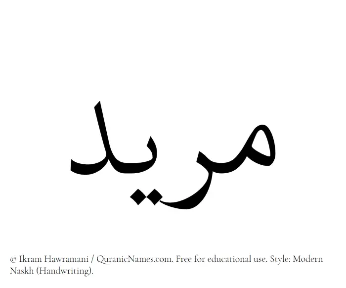 The name Murid written in naskh