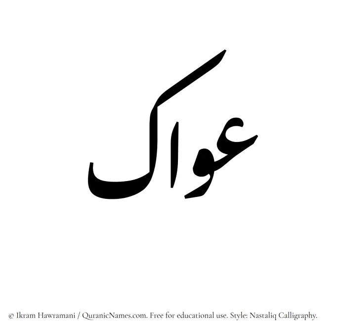 The Muslim name word Awwak written in Nastaliq